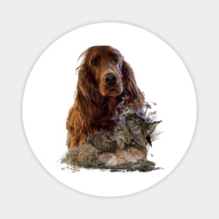 Irish Setter Magnet